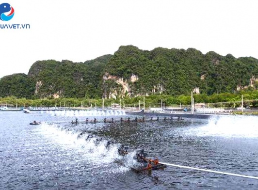 Ưu và nhược điểm khi xử lý nước bằng chlorine